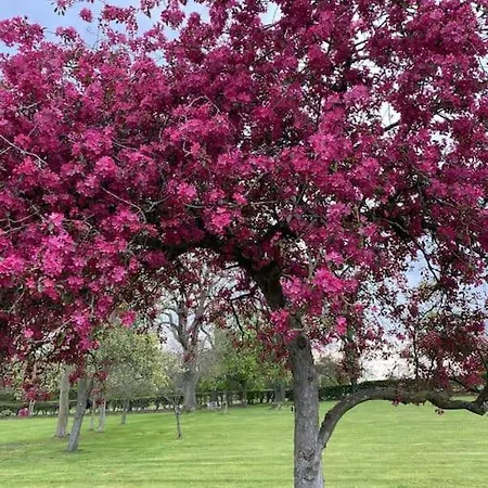 South Cottage - Garden, Views, Parking, Dogs, Cheshire, Walks, Family Adlington Exterior photo