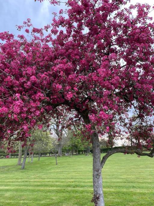 Holiday home South - Garden, Views, Parking, Dogs, Cheshire, Walks, Family