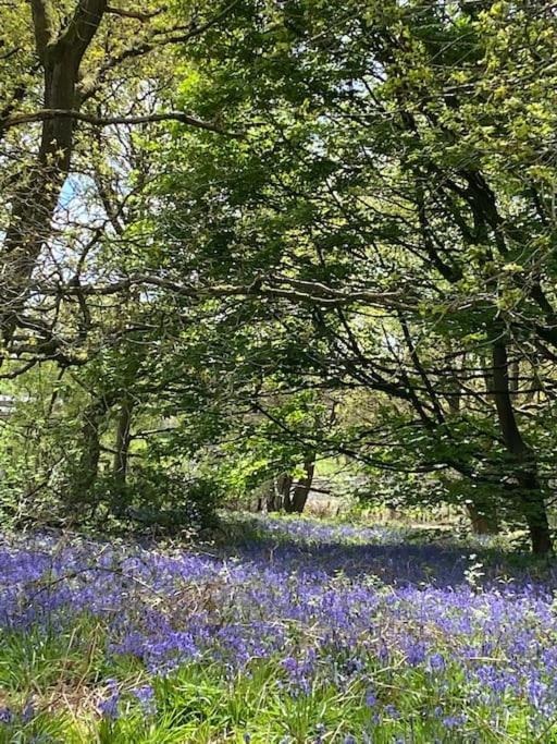 South - Garden, Views, Parking, Dogs, Cheshire, Walks, Family Adlington